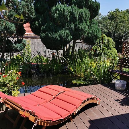 Ferienhaus Mit Mediterraner Terrasse Mullrose Екстер'єр фото